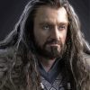 The Hobbit Thorin Oakenshield Diamond Paintings