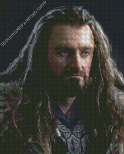 The Hobbit Thorin Oakenshield Diamond Paintings