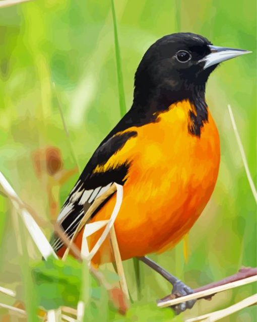 Wild Orioles Bird Diamond Paintings