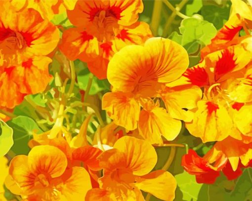 Yellow Nasturtium Flowers Diamond Paintings