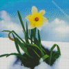 Yellow Spring Flower In Snow Diamond Painting