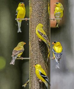 Yellow Finch Bird Diamond Paintings