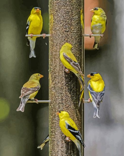 Yellow Finch Bird Diamond Paintings