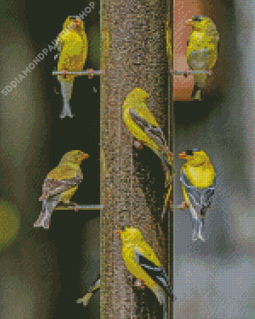 Yellow Finch Bird Diamond Paintings