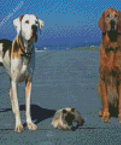 Homeward Bound Animals Characters Diamond Painting