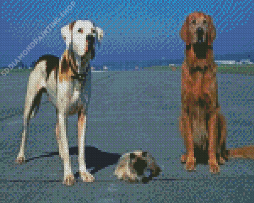 Homeward Bound Animals Characters Diamond Painting