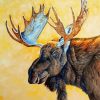 Moose Head Portrait Art Diamond Painting