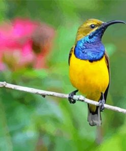 Yellow Sunbird On A Branch Diamond Painting