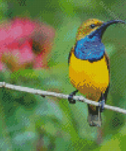 Yellow Sunbird On A Branch Diamond Painting