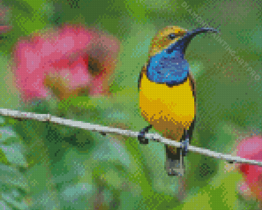 Yellow Sunbird On A Branch Diamond Painting