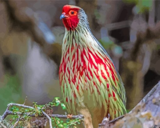 Blood Pheasant Bird Diamond Painting