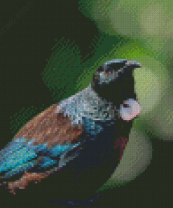 Close Up Tui Bird Diamond Painting