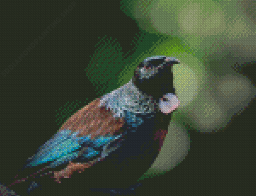 Close Up Tui Bird Diamond Painting