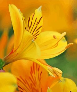 Yellow Alstroemeria Flower Diamond Painting