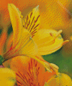 Yellow Alstroemeria Flower Diamond Painting