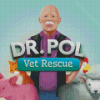 Dr Pol Poster Diamond Painting