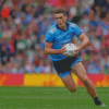 Dublin Gaa Brian Fenton Diamond Painting