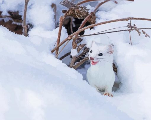 Ermine In Snow Diamond Painting