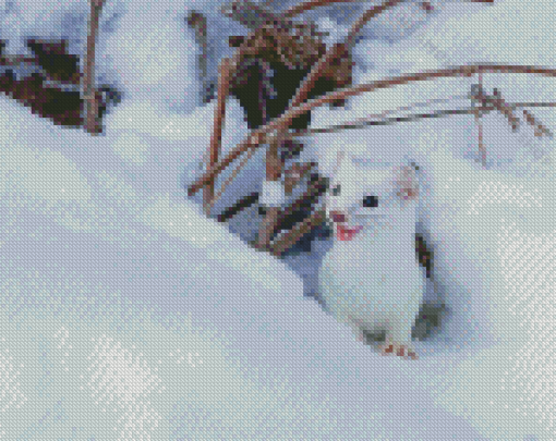 Ermine In Snow Diamond Painting