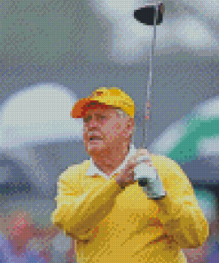 Golf Player Jack Nicklaus Diamond Painting