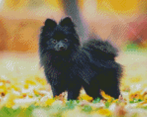 Mini Black Pomeranian Diamond Painting