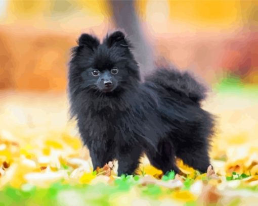 Mini Black Pomeranian Diamond Painting