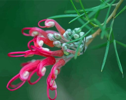 Pink Grevillea Flower Diamond Painting