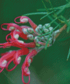 Pink Grevillea Flower Diamond Painting