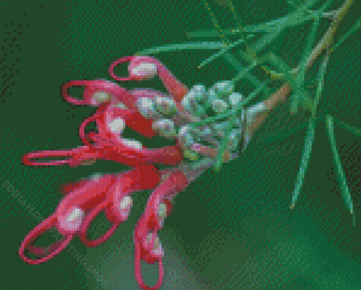 Pink Grevillea Flower Diamond Painting