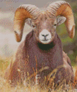 Wild Bighorn Sheep In Mountain Diamond Painting