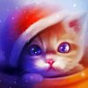 Xmas Cat Diamond Painting