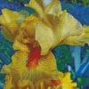 Yellow Bearded Iris Plant Diamond Painting