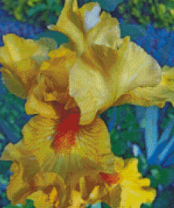 Yellow Bearded Iris Plant Diamond Painting