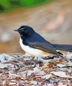 Aesthetic Willy Wagtail Bird Diamond Painting