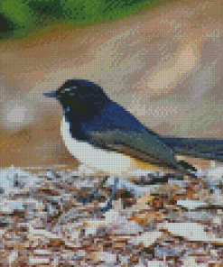 Aesthetic Willy Wagtail Bird Diamond Painting