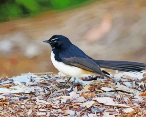 Aesthetic Willy Wagtail Bird Diamond Painting