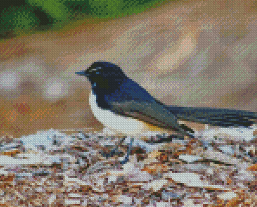 Aesthetic Willy Wagtail Bird Diamond Painting