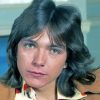 Aesthetic David Cassidy Diamond Painting