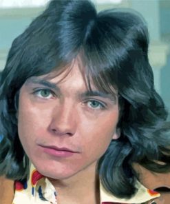 Aesthetic David Cassidy Diamond Painting