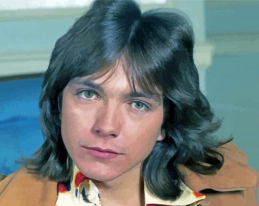 Aesthetic David Cassidy Diamond Painting