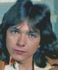 Aesthetic David Cassidy Diamond Painting