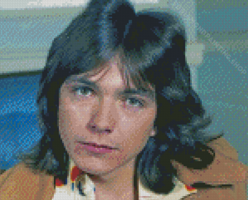 Aesthetic David Cassidy Diamond Painting