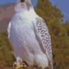 Aesthetic White Gryfalcon Diamond Painting