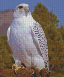 Aesthetic White Gryfalcon Diamond Painting