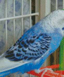 Blue Parakeet Budgie Diamond Painting