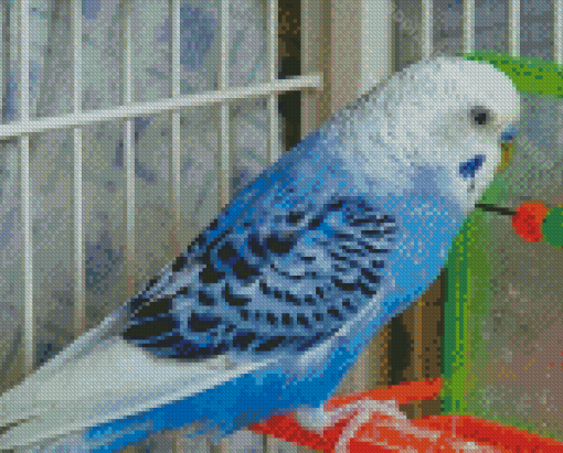 Blue Parakeet Budgie Diamond Painting