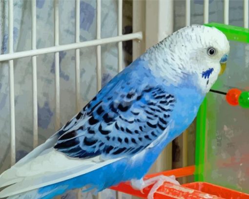 Blue Parakeet Budgie Diamond Painting