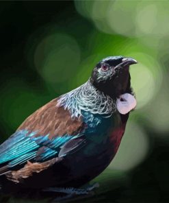 Close Up Tui Bird Diamond Painting