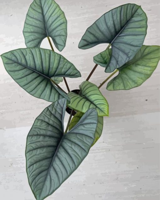 Green Alocasia Plant Diamond Painting