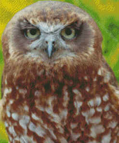 Ninoxe Boobook Owl Diamond Painting